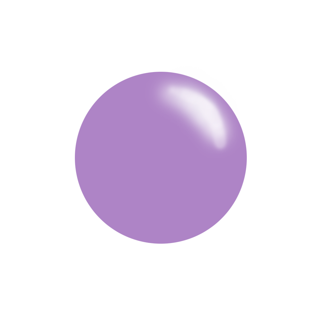 Nail Art Stamping Color Kit - Simply Sheer (4 colors)