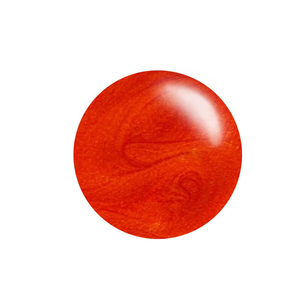 Nail Art Stamping Color Kit - Orange Mash Up (4 colors)