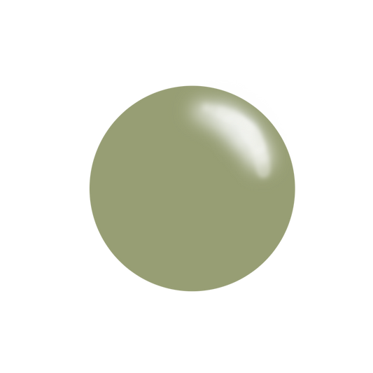 #215 Hazy Sage - Nail Art Stamping Color (5 Free Formula)