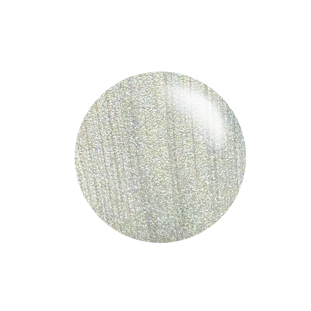 #236 Stardust Shimmer - Nail Art Stamping Color (5 Free Formula)