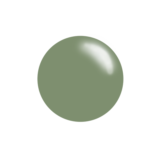 #247 Pistachio Party - Nail Art Stamping Color