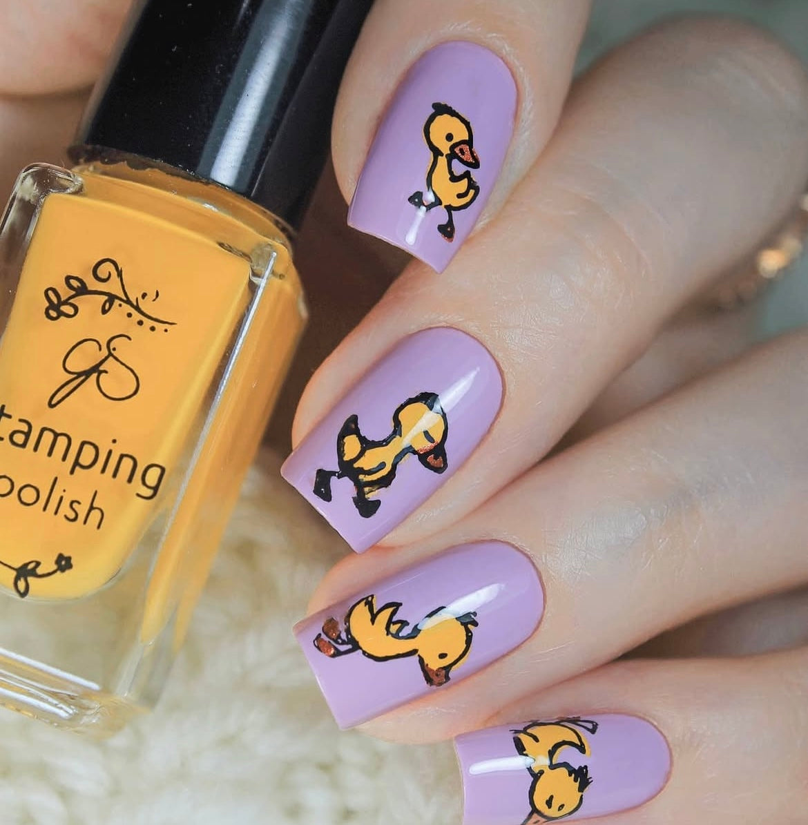 Spring is in the Air (CjS-95) Etched Nail Art Stamping Plate