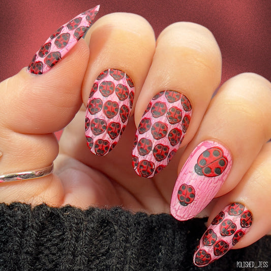 Gnome Place Like Home (CjSLC-17) Etched Nail Art Stamping Plate