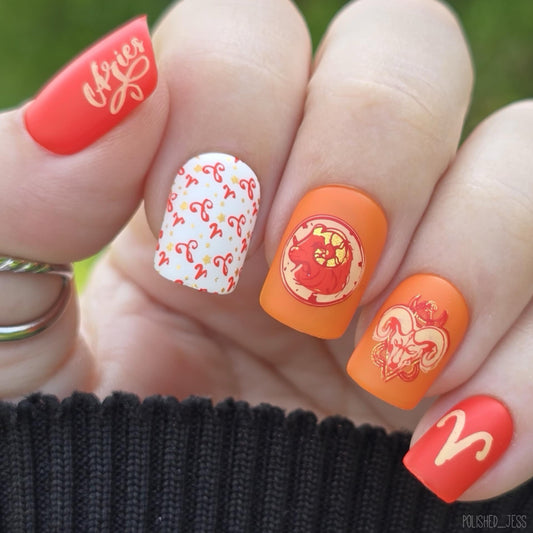Aries (CjSZ-02) Etched Nail Art Stamping Plate