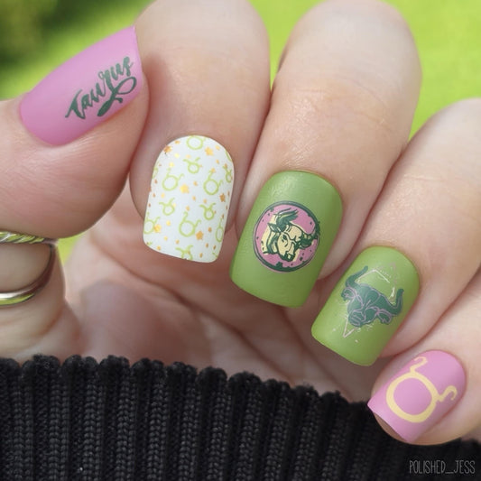 Taurus (CjSZ-03) Etched Nail Art Stamping Plate