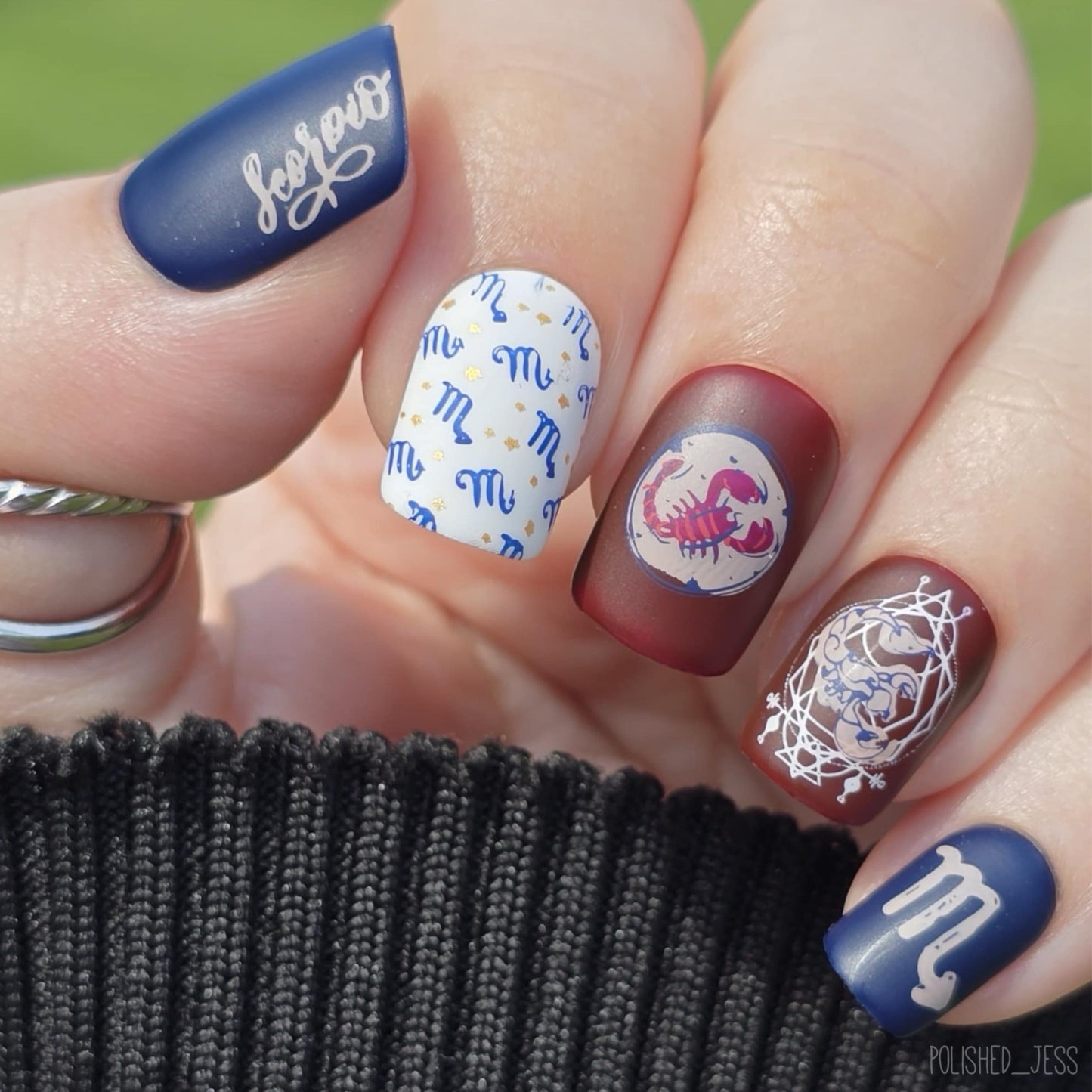 Scorpio (CjSZ-09) Etched Nail Art Stamping Plate