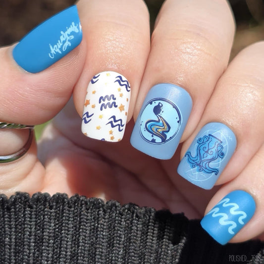 Aquarius (CjSZ-12) Etched Nail Art Stamping Plate