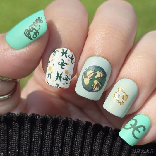 Pisces (CjSZ-13) Etched Nail Art Stamping Plate