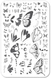 layered-nail-art-stamping-plate-with-colorful-butterfly-and-butterfly-wing-designs-and-words-for-nail-art