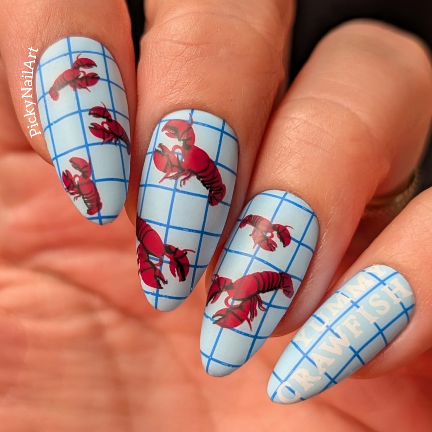 Call Me If You Get Lost (CjS-378) Etched Nail Art Stamping Plate