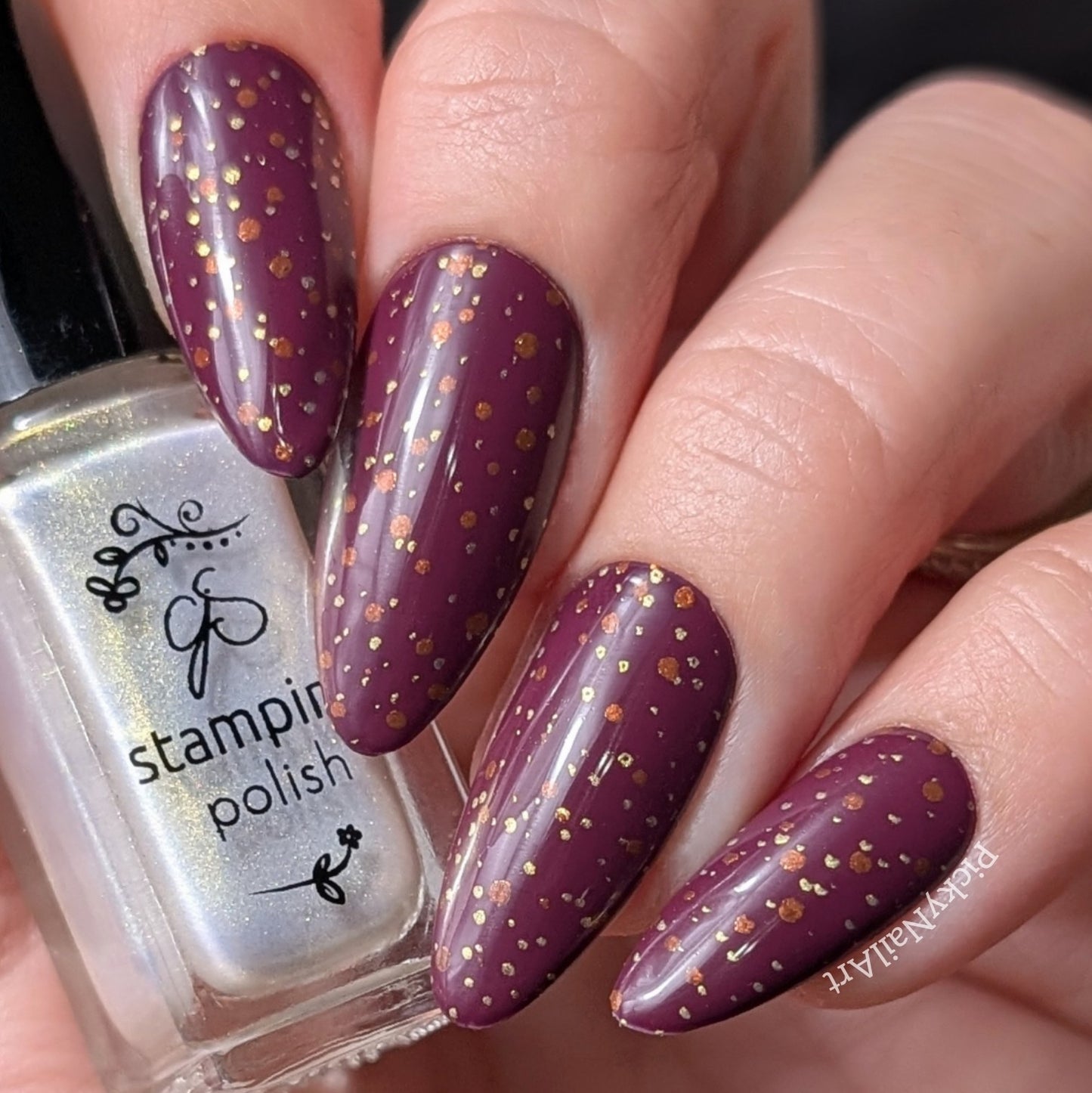 Confetti Chic (CjS-393) Etched Nail Art Stamping Plate