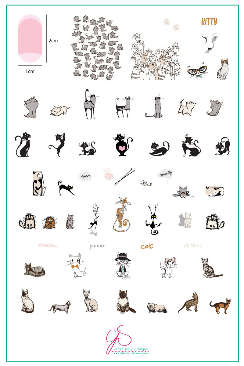 Almost Nailed It  - Let's Collaborate (LC) Collection