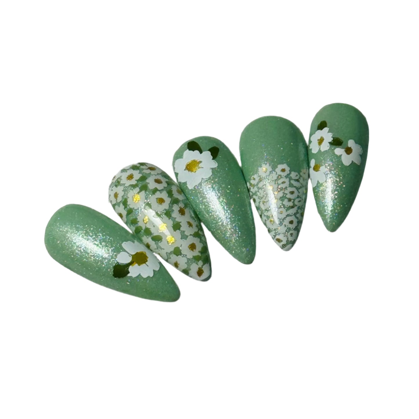 Crazy for Daisies (CjS-385) Etched Nail Art Stamping Plate