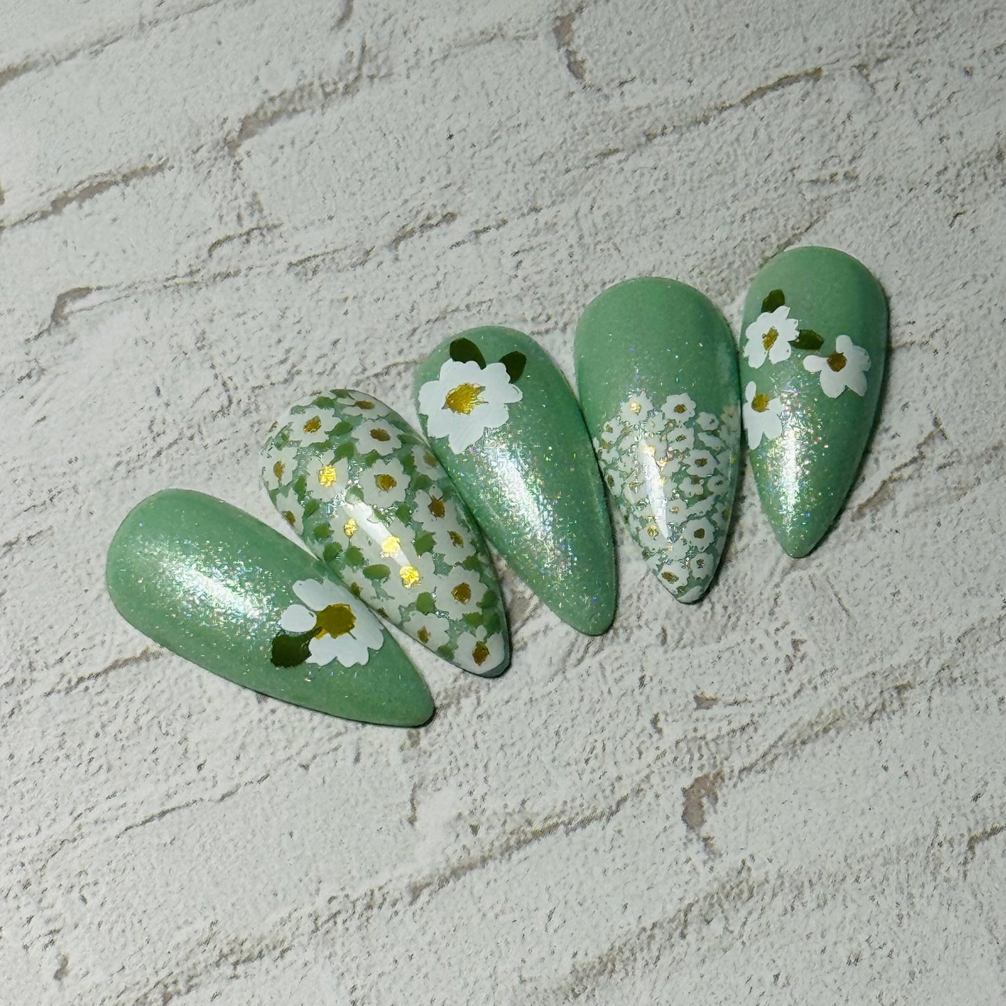 Crazy for Daisies (CjS-385) Etched Nail Art Stamping Plate
