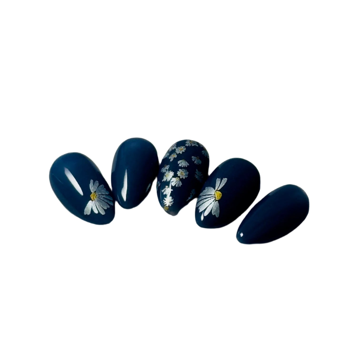 Crazy for Daisies (CjS-385) Etched Nail Art Stamping Plate