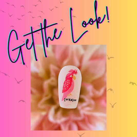 Talk Birdie to Me Bundle