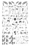 Pretty Palms (CjS-301) Steel Nail Art Layered Stamping Plate