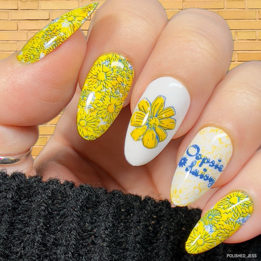 I Dream of Daisies (CjS-104) Etched Nail Art Stamping Plate