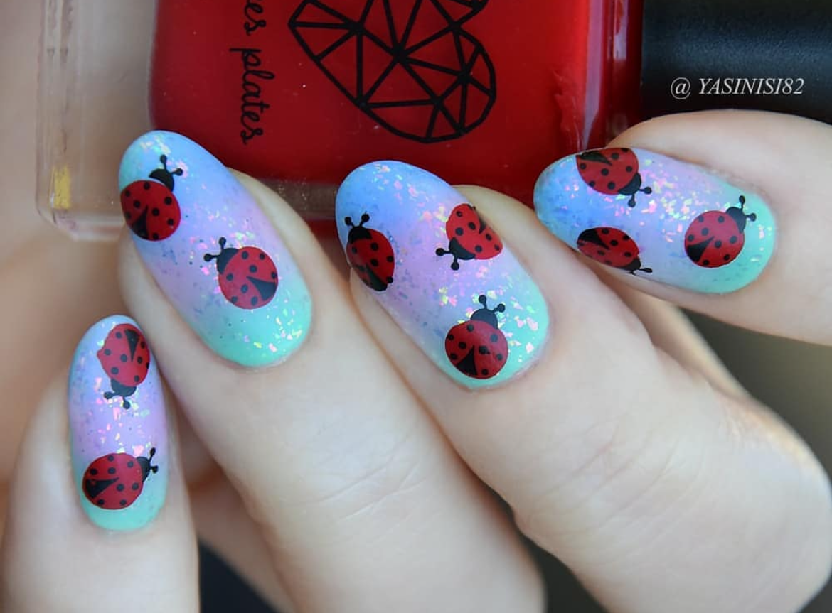 Tu Many Tulips (CjS-111) Etched Nail Art Stamping Plate