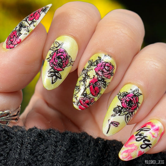 Painting the Roses Red (CjS-112) Etched Nail Art Stamping Plate