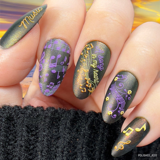 Musical Score (CjS-122) Etched Nail Art Stamping Plate