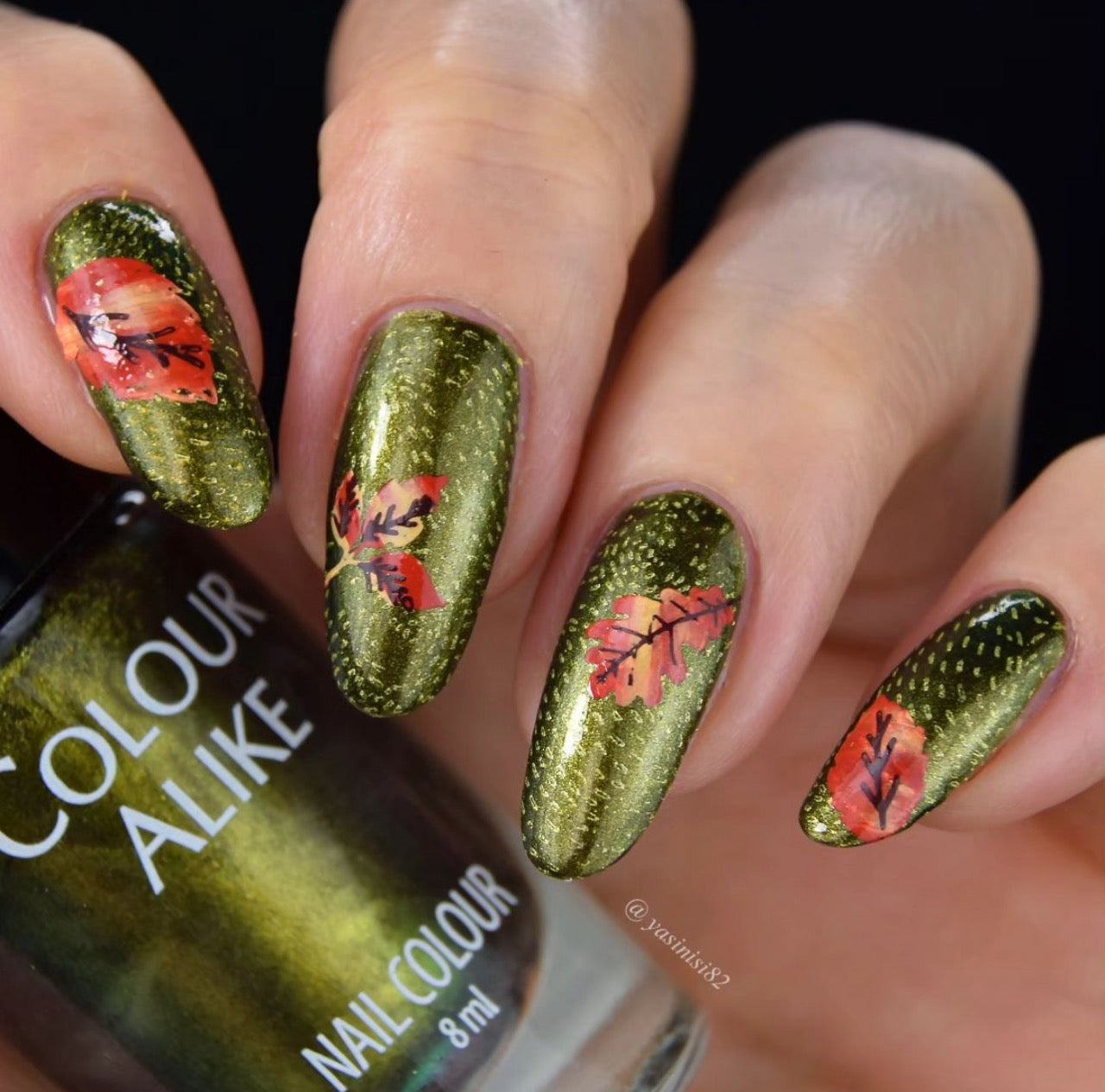 Autumn is Here! (CjS-135) Etched Nail Art Stamping Plate