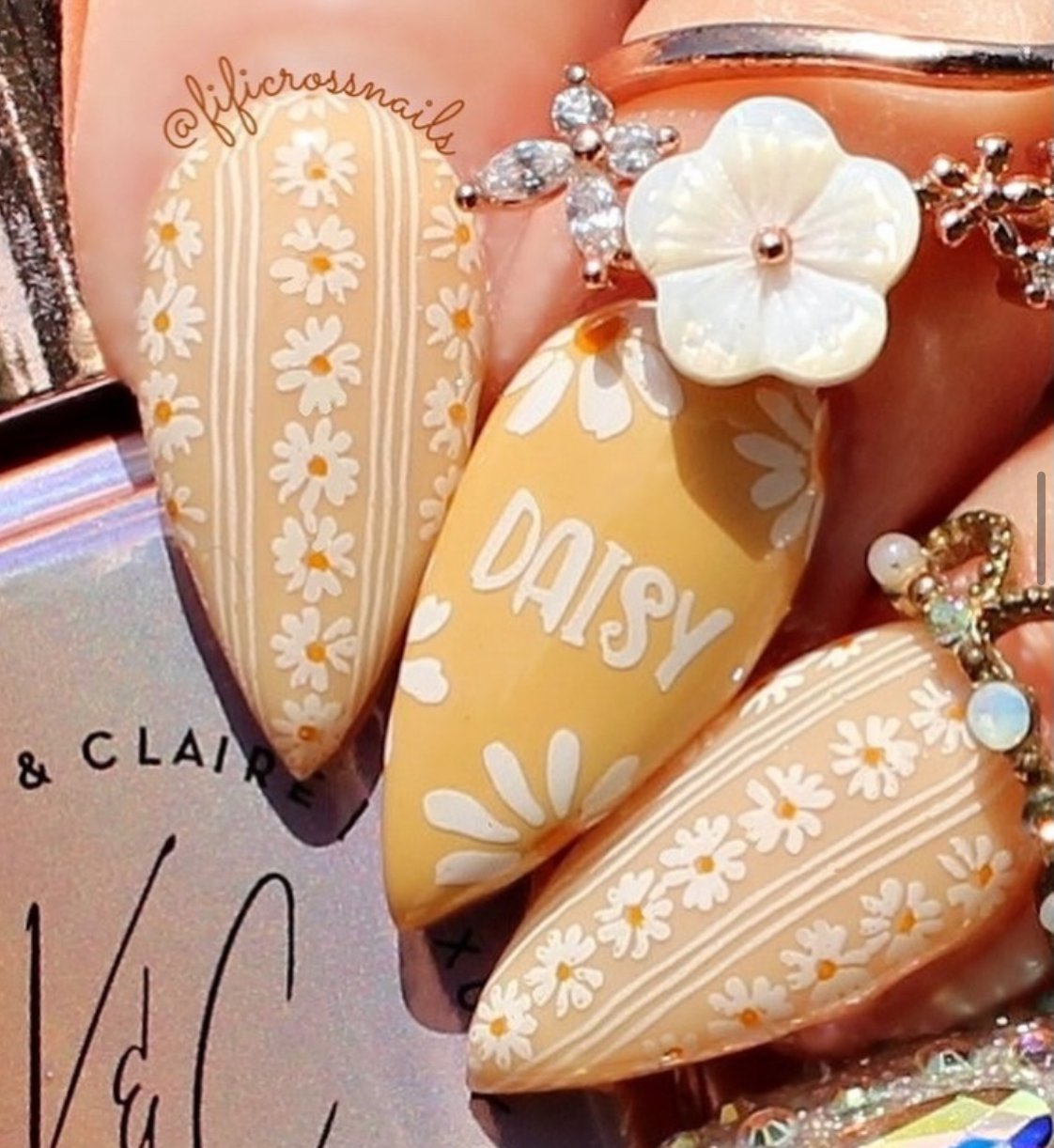 Spring Daisy (CjS-194) Etched Nail Art Stamping Plate