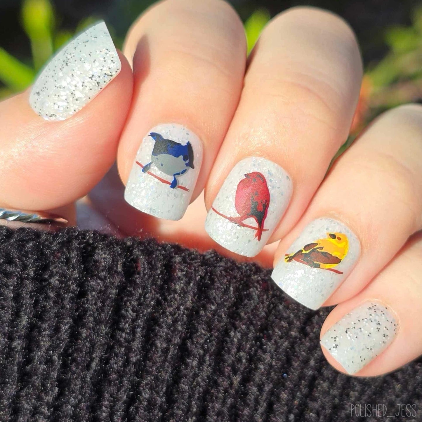 Itty Bitty Birds (CjS-30) Etched Nail Art Stamping Plate