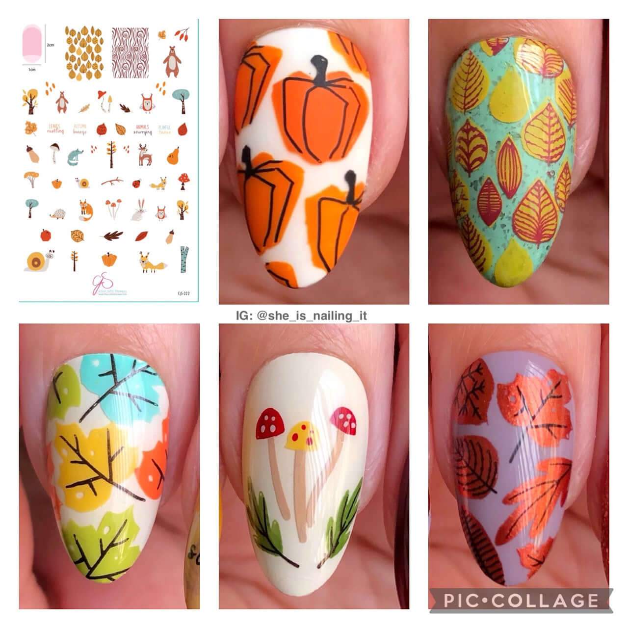 a-collage-of-five-single-nails-showing-autumn-themed-nail-art-designs-of-leaves-pumpkins-and-mushrooms