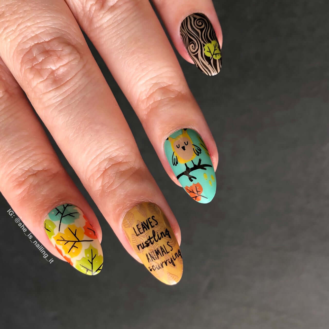 beautiful-manicure-showing-autumn-leaves-and-a-owl