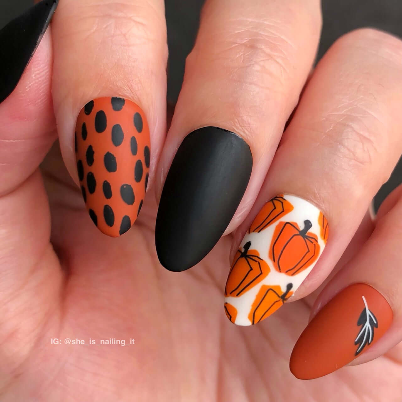 Playfully Autumn (CjS-322) Etched Nail Art Stamping Plate