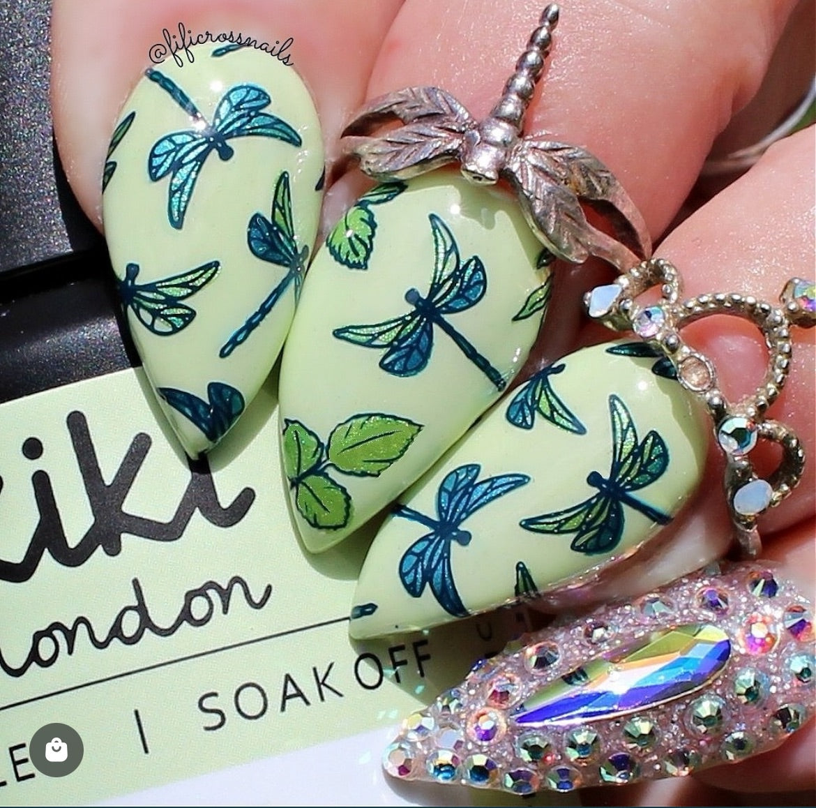 Watercolor Floral Cascade (CJS-337) Etched Nail Art Stamping Plate