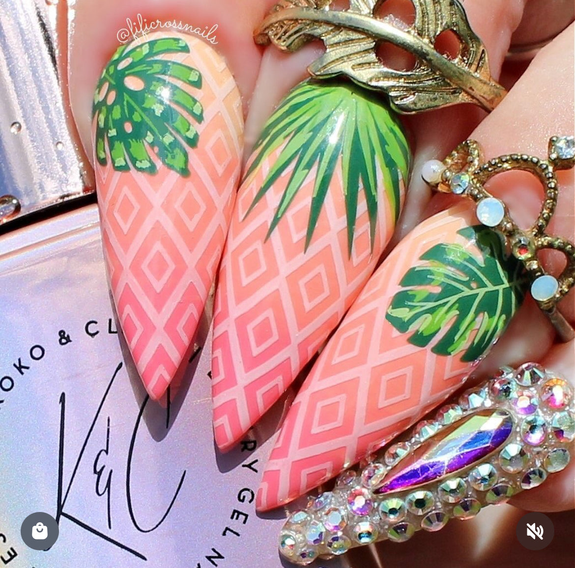 Tropical Leaves (CjS-358) Etched Nail Art Stamping Plate