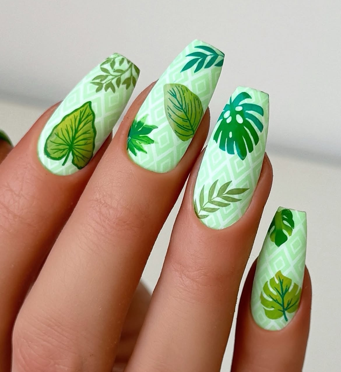 Tropical Leaves (CjS-358) Steel Nail Art Layered Stamping Plate