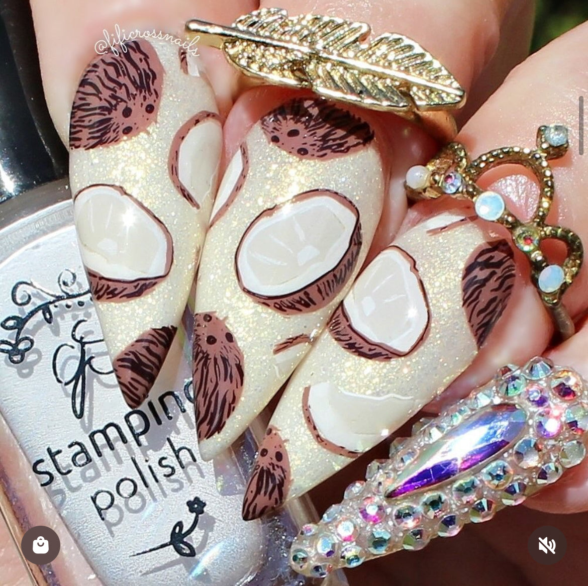 Tropical Paradise (CjS-359) Etched Nail Art Stamping Plate