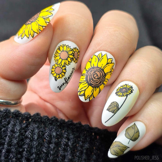 Glow like a Sunflower (CjS-370) Etched Nail Art Stamping Plate