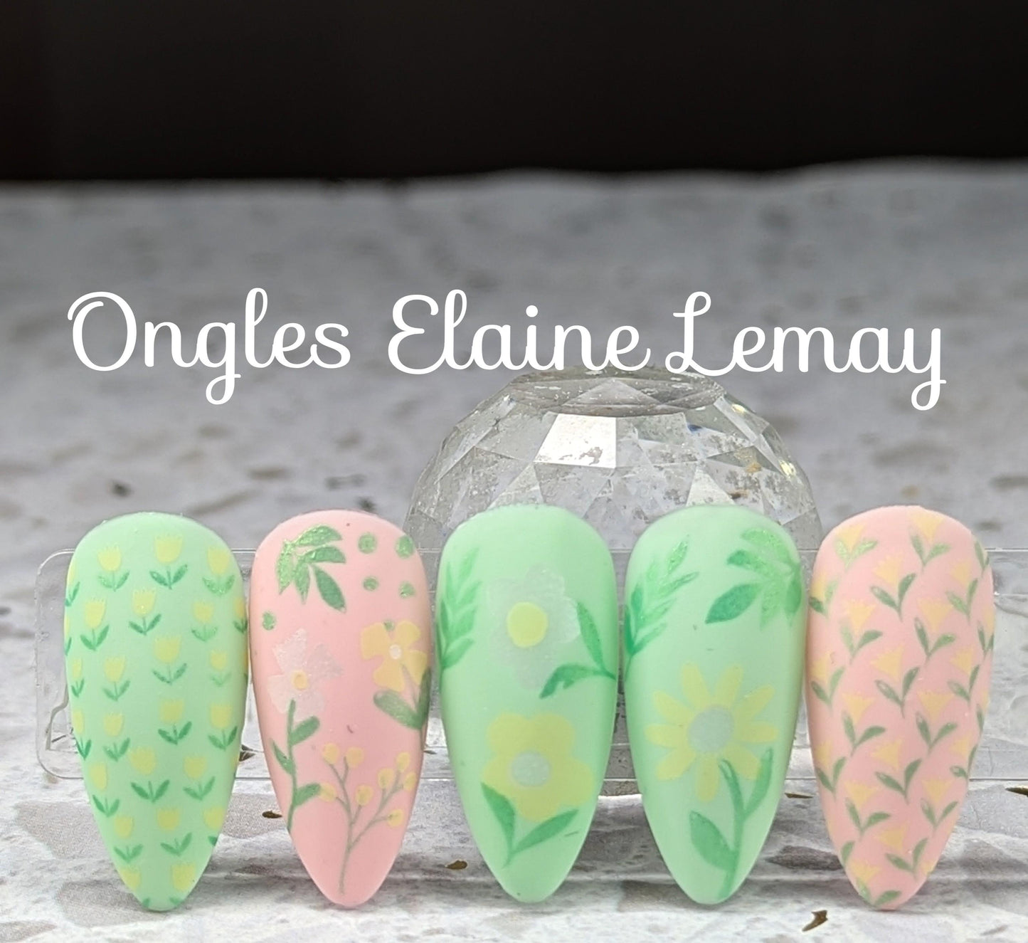 Bloom Baby Bloom (CjS-379) Etched Nail Art Stamping Plate