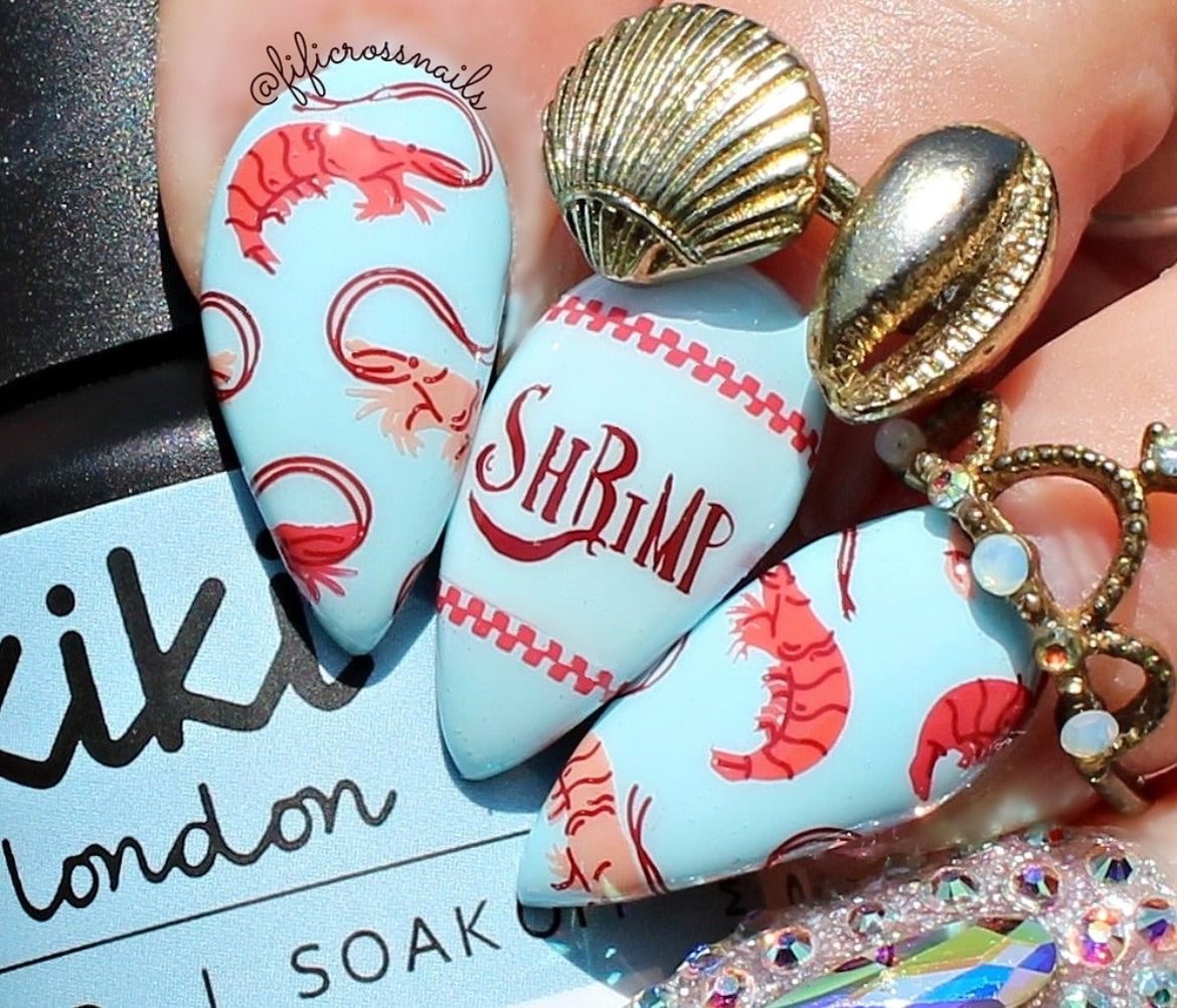 Catch Me by the Sea (CjS-380) Etched Nail Art Stamping Plate
