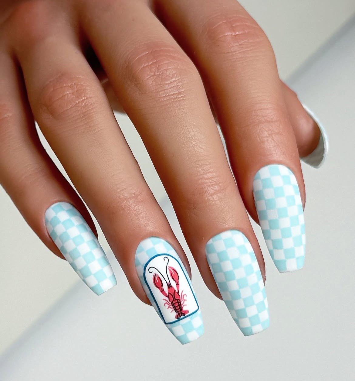 Catch Me by the Sea (CjS-380) Etched Nail Art Stamping Plate