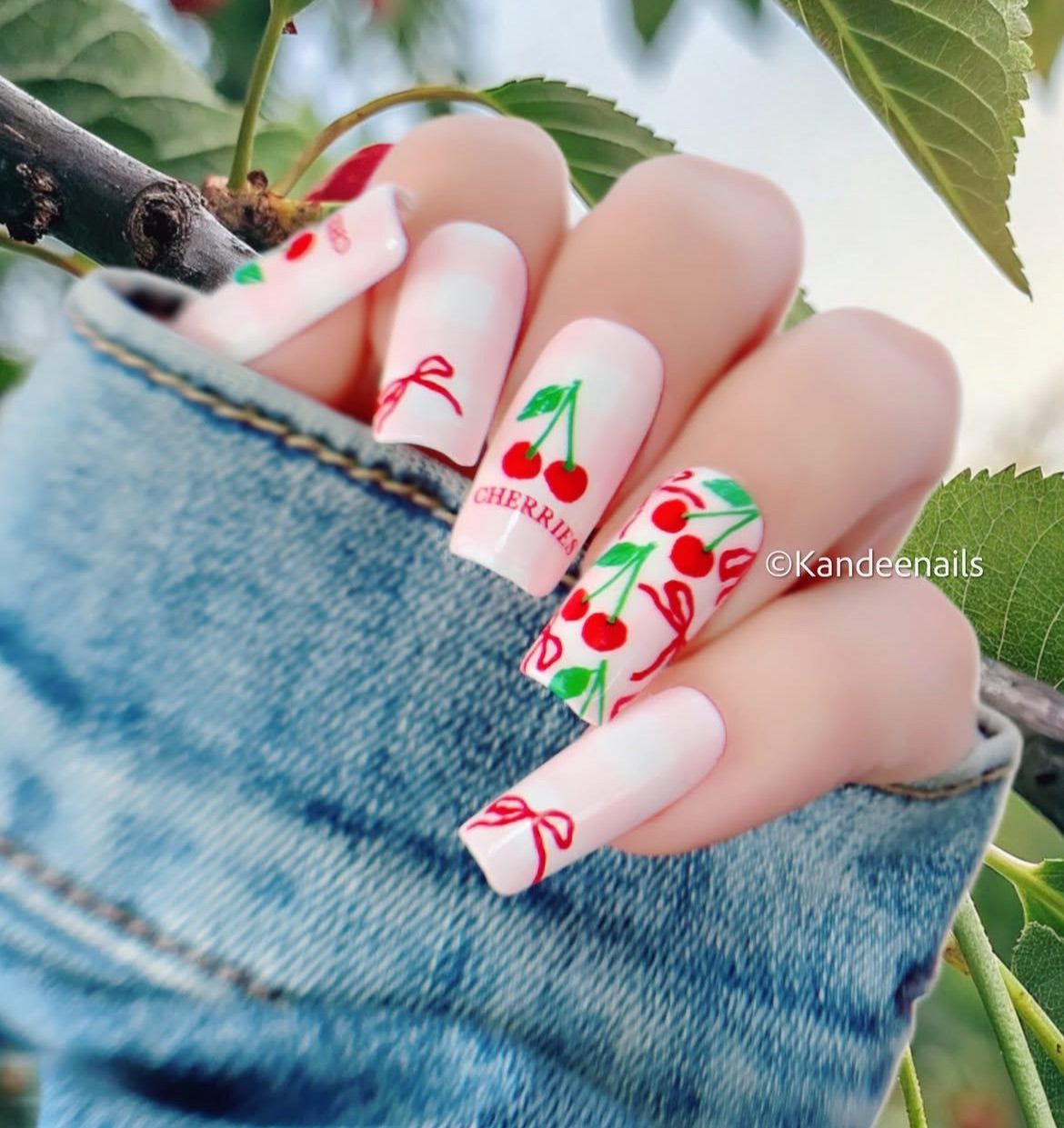 Cherry Bomb (CjS-382) Steel Nail Art Layered Stamping Plate