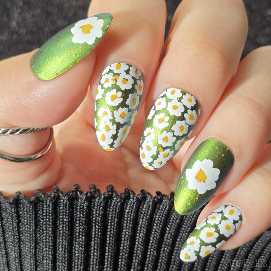 Crazy for Daisies (CjS-385) Etched Nail Art Stamping Plate