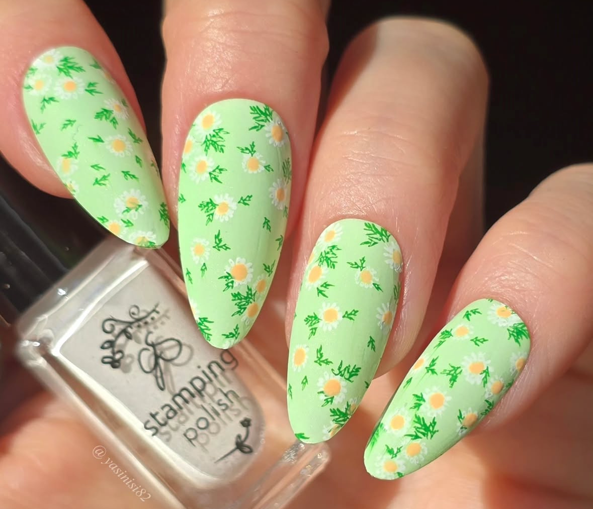 Crazy for Daisies (CjS-385) Etched Nail Art Stamping Plate