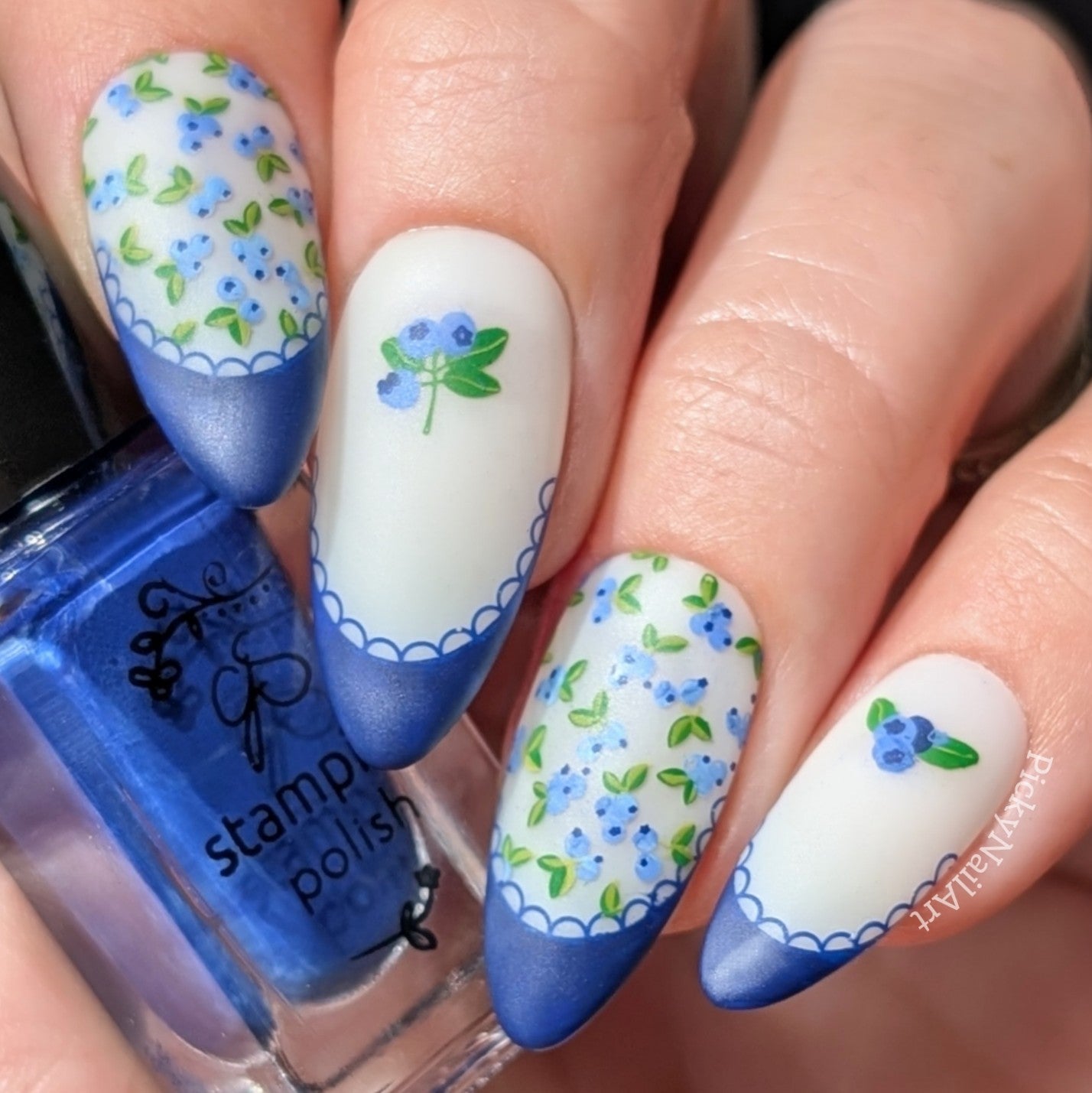 Frilly Fruit (CjS-390) Steel Nail Art Layered Stamping Plate