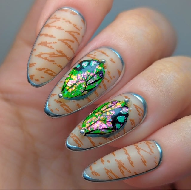 Wild Wings (CjS-392) Etched Nail Art Stamping Plate