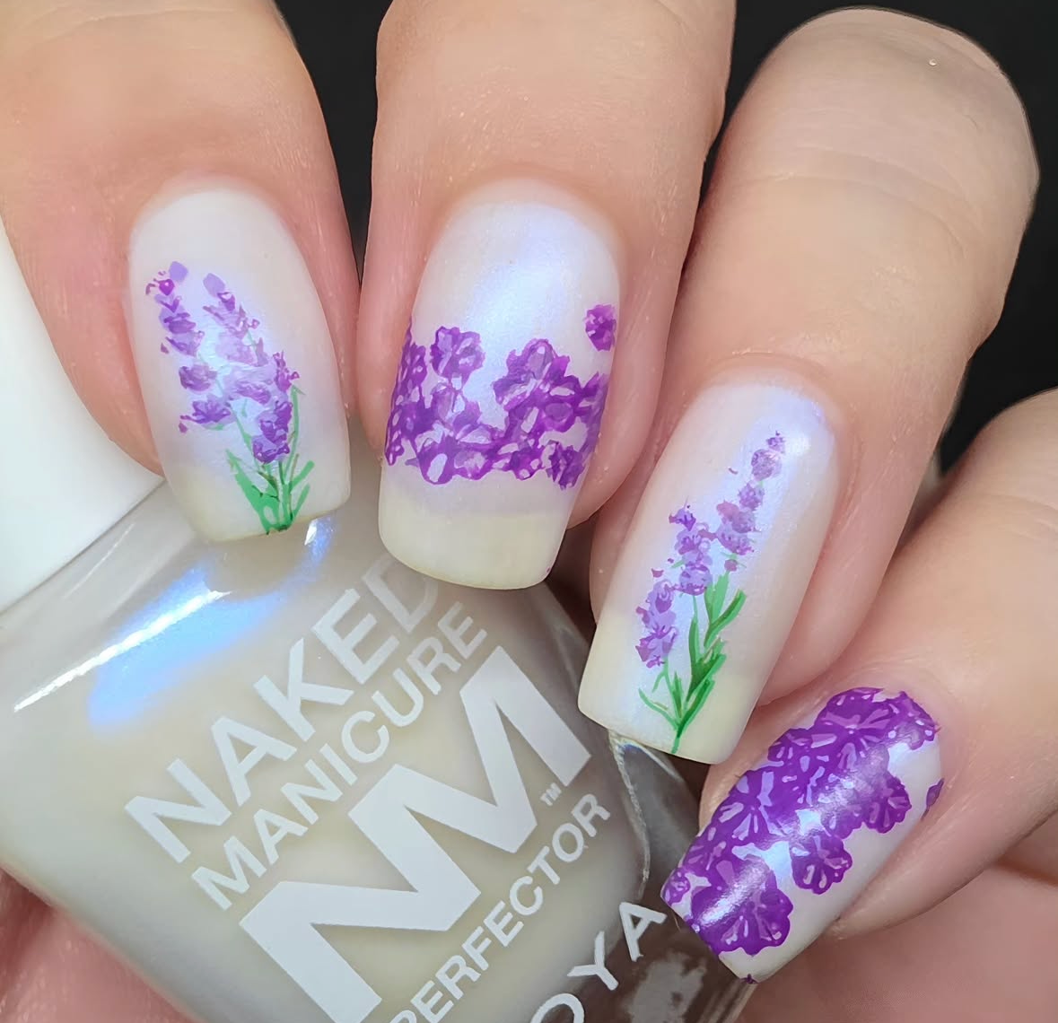 Lavender Grove (CjS-397) Etched Nail Art Stamping Plate