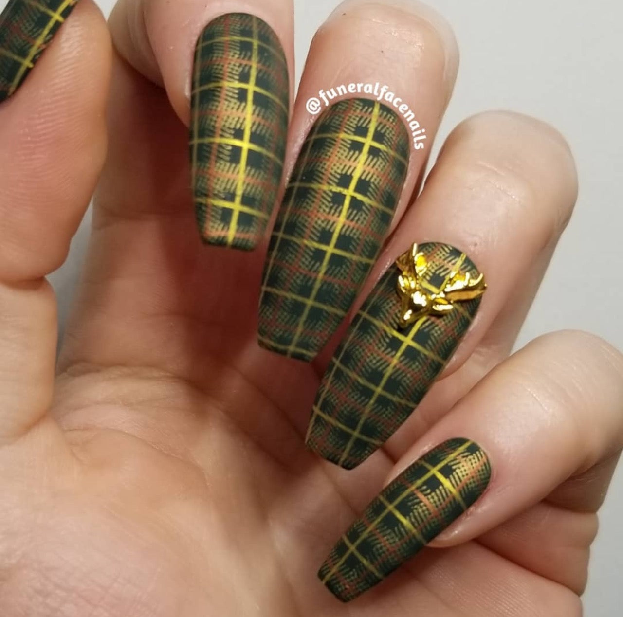 Got Plaid? (CjS-56) Nail Art Layered Stamping Plate"Dive into custom plaid with Got Plaid? CjS-56 stamping plate. Premium quality for full coverage & layered nail art bliss. Start stamping now!"