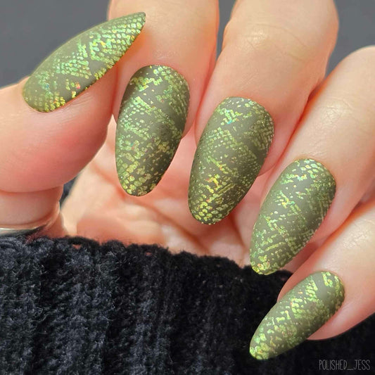 Texture Essentials - Kingdom of the Wild (CjS-77) Etched Nail Art Stamping Plate