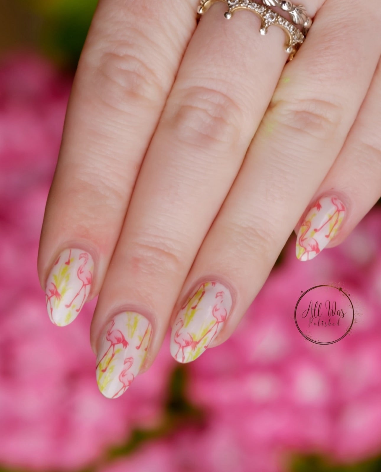 Lil Flamingo (CjS-93) Etched Nail Art Stamping Plate