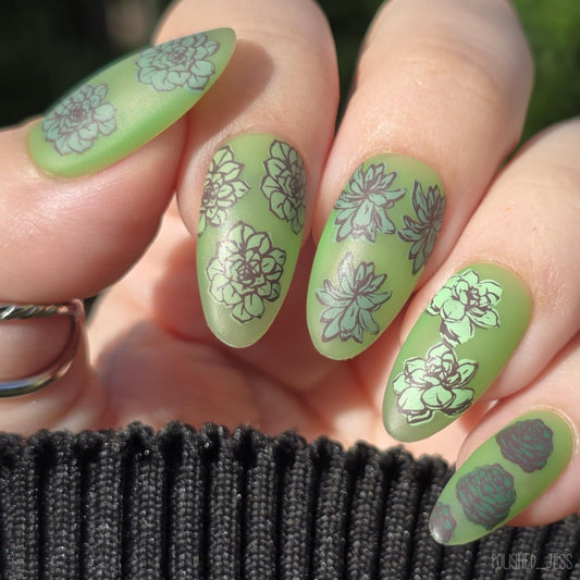 Beginner Edition (CjS-B-ONE) Etched Nail Art Stamping Plate