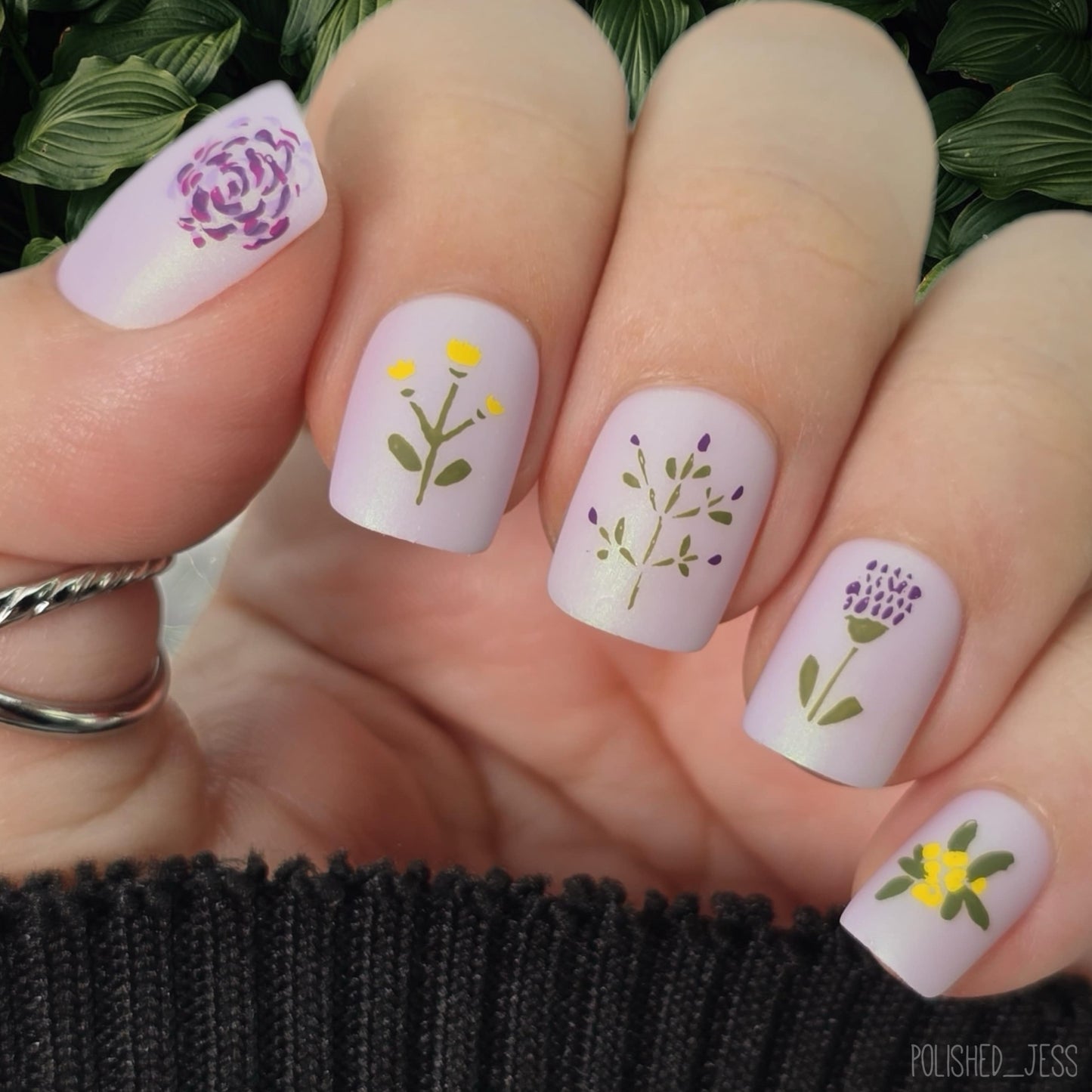 Beginner Edition (CjS-B-SIX) Steel Nail Art Stamping Plate